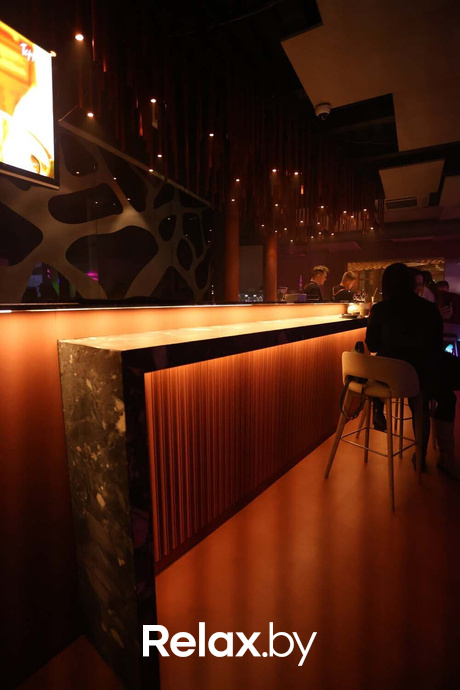 Terra party, фото № 4