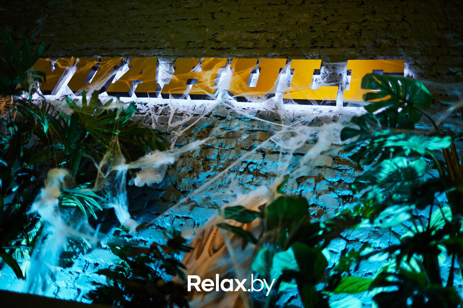 Nua Halloween Party, фото № 52