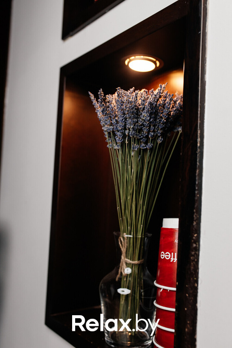 Terra Karaoke, фото № 28