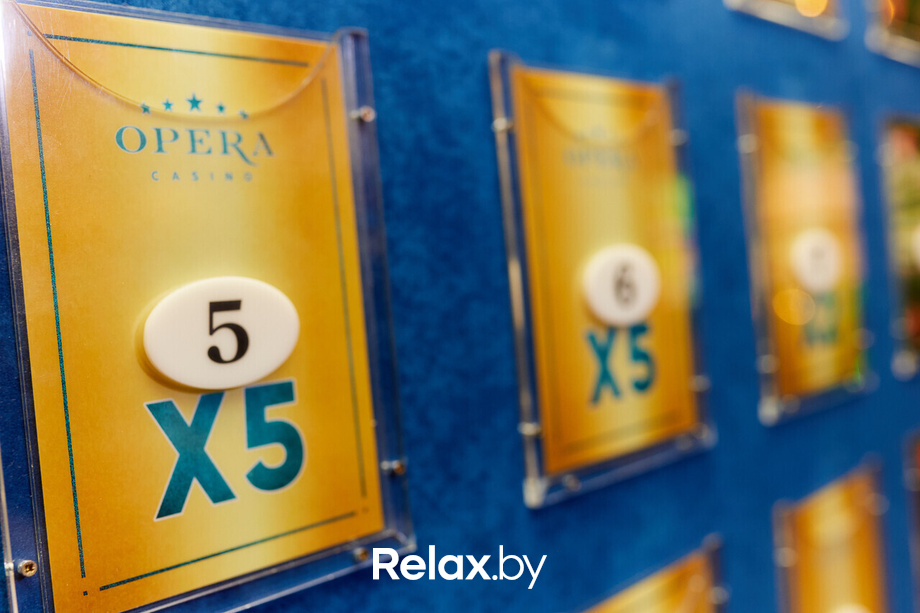 «Татьяна Овсиенко» в казино Опера, фото № 218