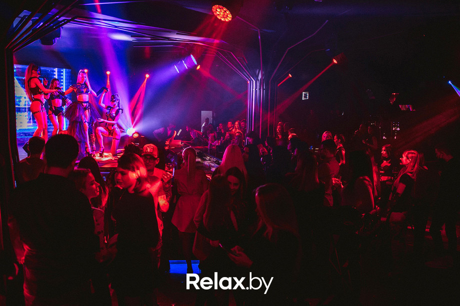 Birds show, фото № 72