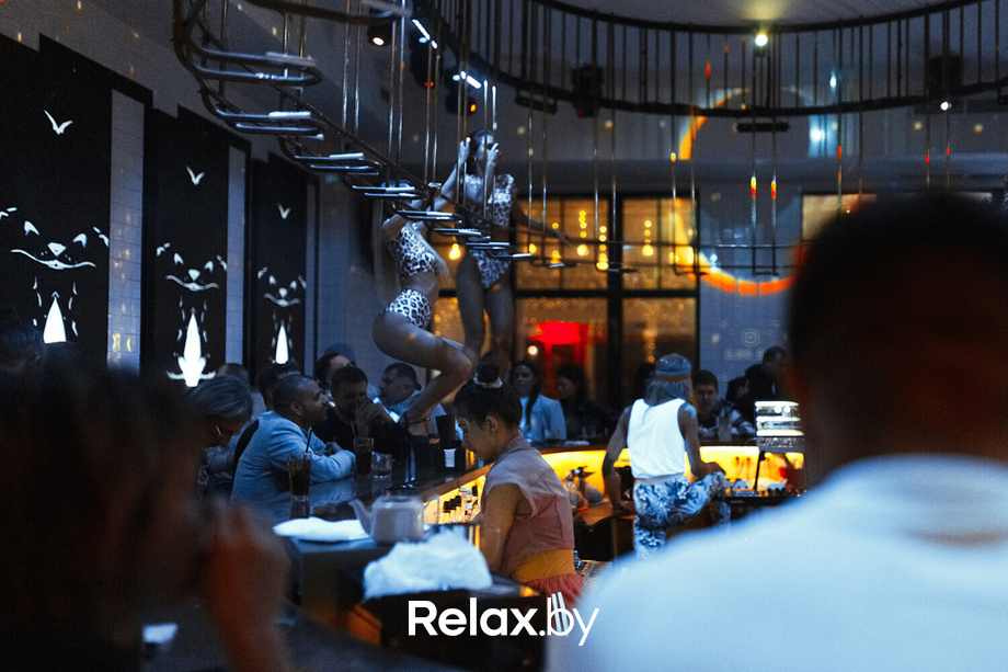 Disco Party, фото № 2