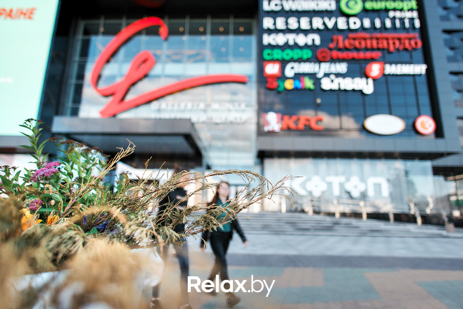 Сеанс ольфакторного детокса, фото № 1