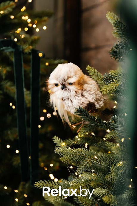 Новогодний корпоратив 13.12.2024, фото № 52