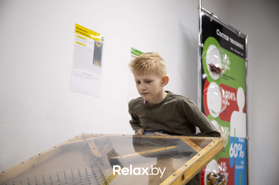 День белорусской науки, фото № 29