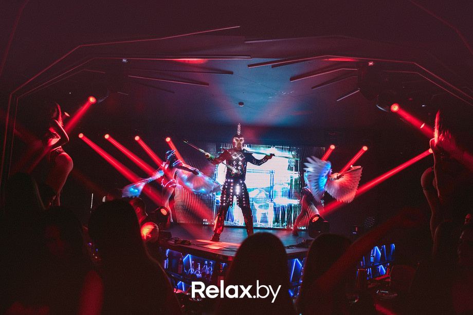 Birds show, фото № 11