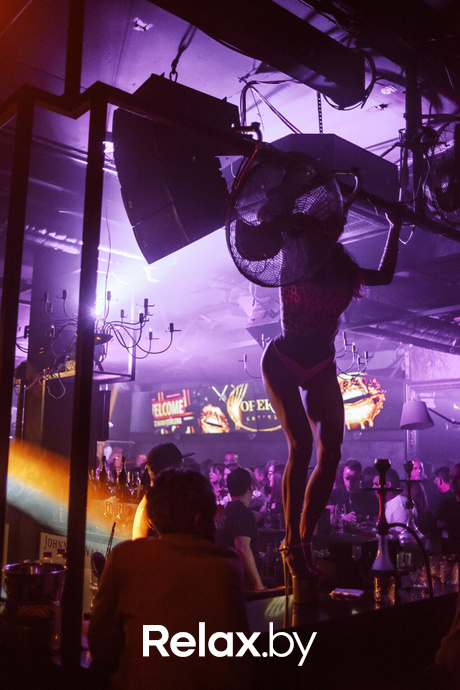 Friday «Terrarium», фото № 29