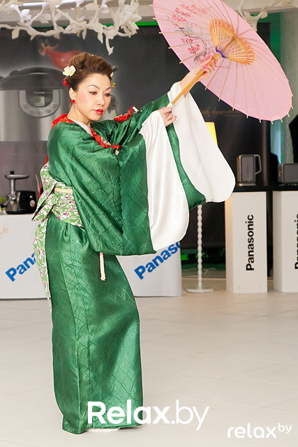 Презентация Panasonic, фото № 88