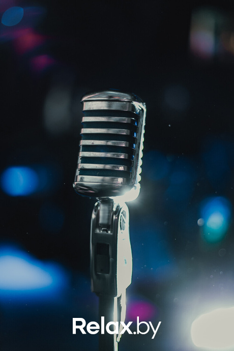 Ночь караоке, фото № 9