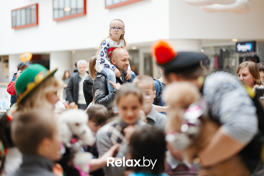 Благотворительный закрытый показ «Ловушка для привидения», фото № 39