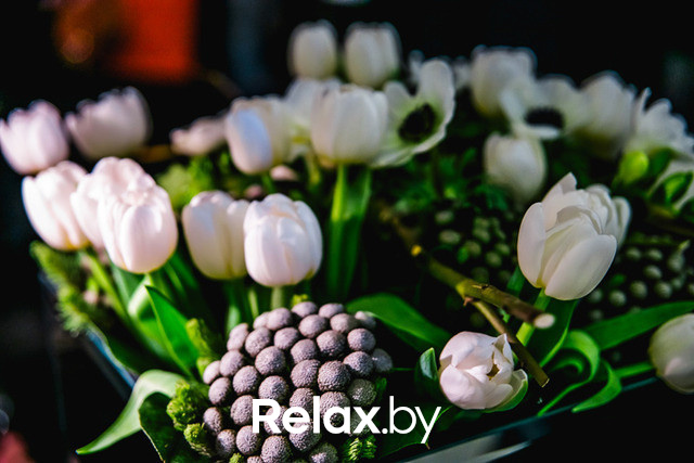 Открытие Times, фото № 60