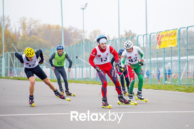 Золотая осень с Васильками, фото № 106