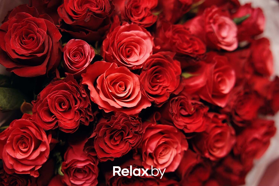 Отдыхаем Броварно, фото № 50