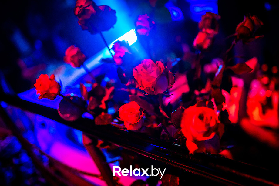 Miss VKLYBE.TV, фото № 8