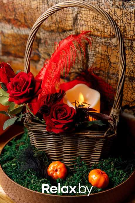 Halloween:Чародейка, фото № 29