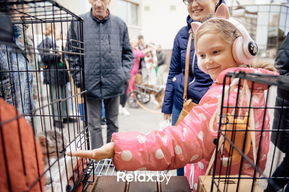 Благотворительная акция пушистого добра, фото № 36