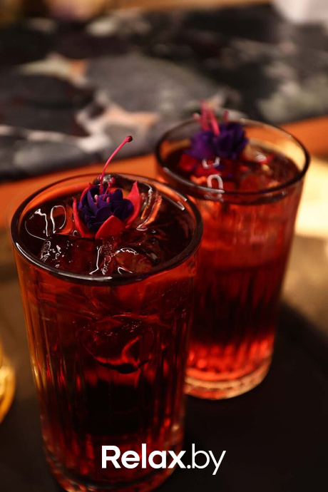 Terra party, фото № 44