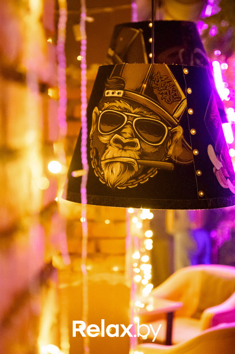 Monkey Brothers, фото № 29