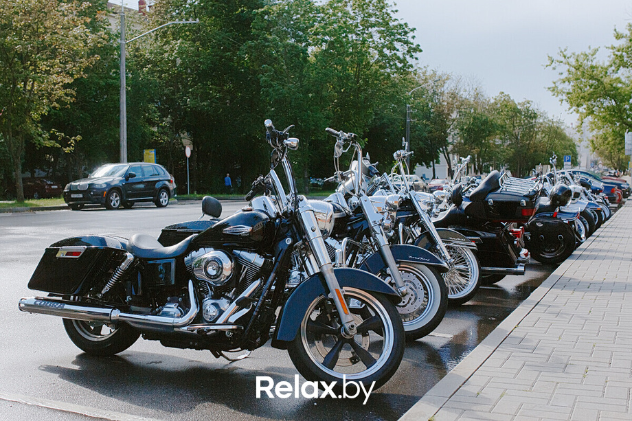 Rib Raw Harley, фото № 7