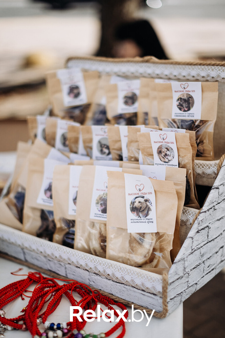 Акция Пушистого Добра, фото № 49