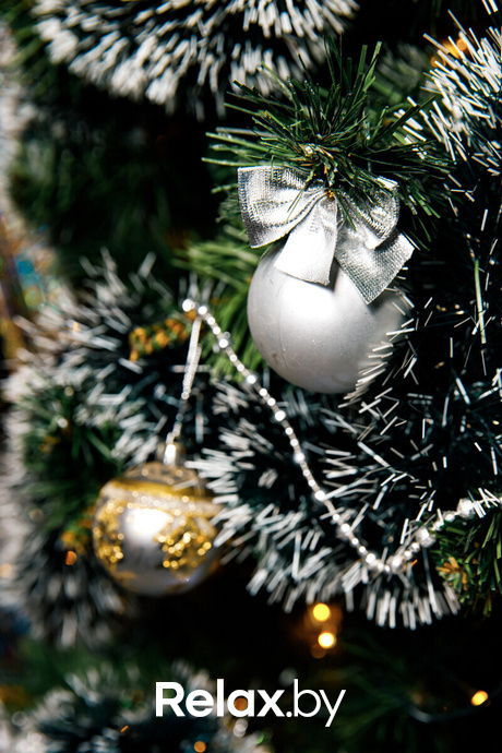 Ёлки 2022, фото № 54