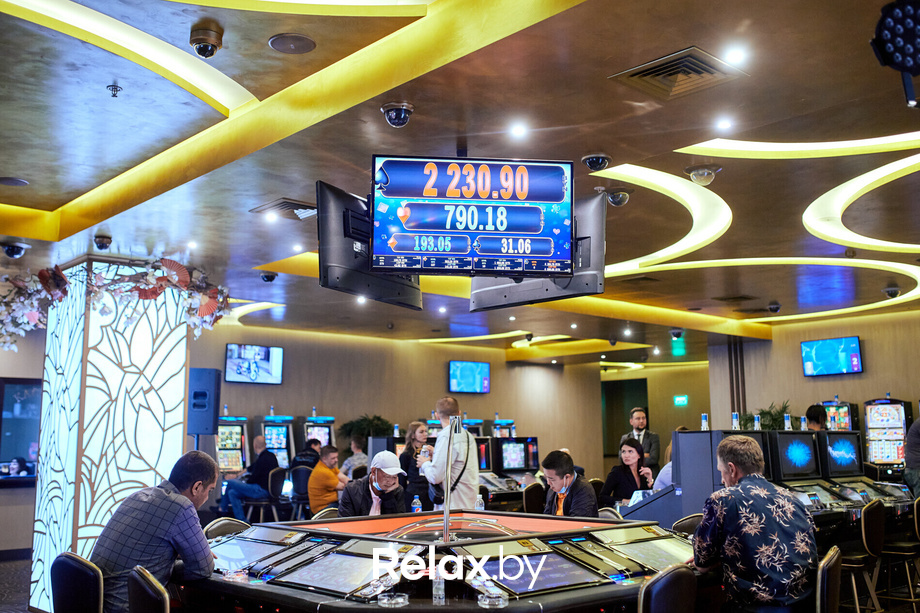 Пекинская капуста, фото № 52