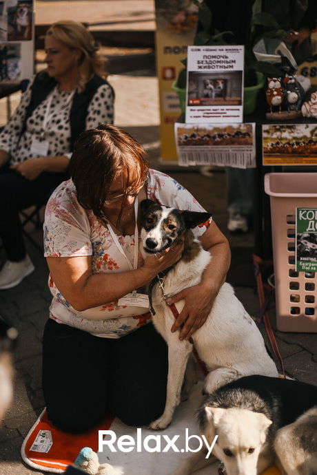 Акция Пушистого Добра, фото № 127