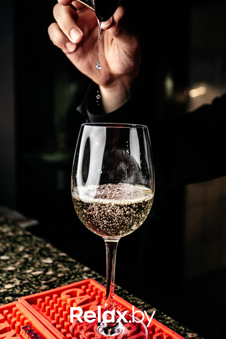 Terra Karaoke, фото № 41