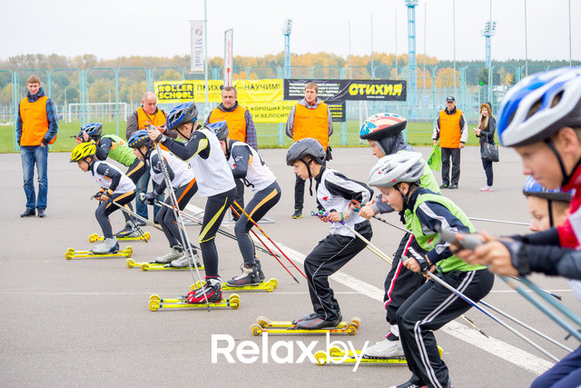 Золотая осень с Васильками, фото № 48