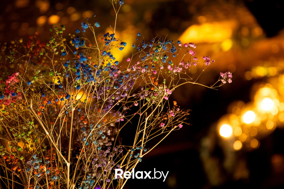 Выступление Марии Разумовой, фото № 32