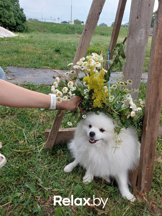 Купалье 2023, фото № 124