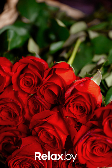 Radio Killers, фото № 38