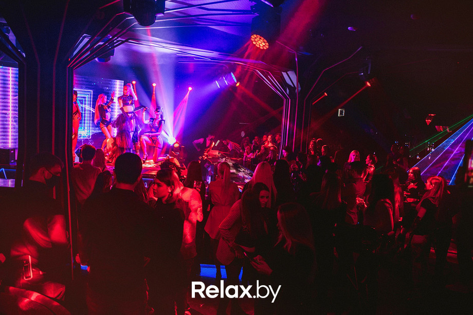 Birds show, фото № 17