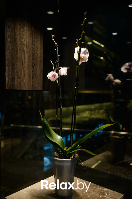 Вечерний IDOL, фото № 6