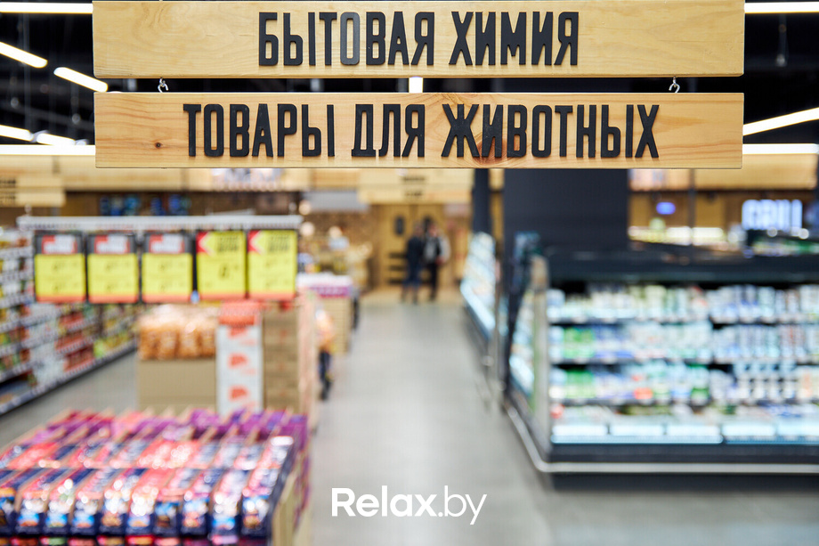 Открытие ГИППО, фото № 17