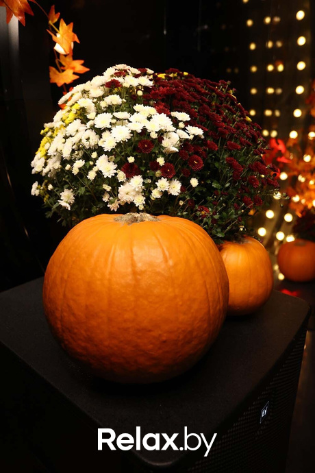 Terra Karaoke, фото № 4