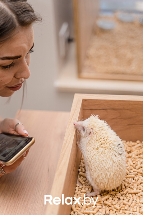 Открытие антикафе «Ёж кафе», фото № 34