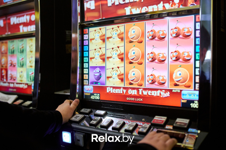 Пекинская капуста, фото № 12