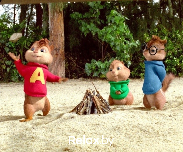 Смысл жизни бурундуков, фото № 5