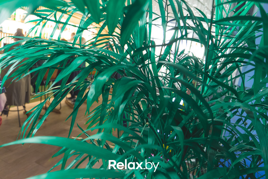 Живая гитара Dj set MAVR, фото № 23