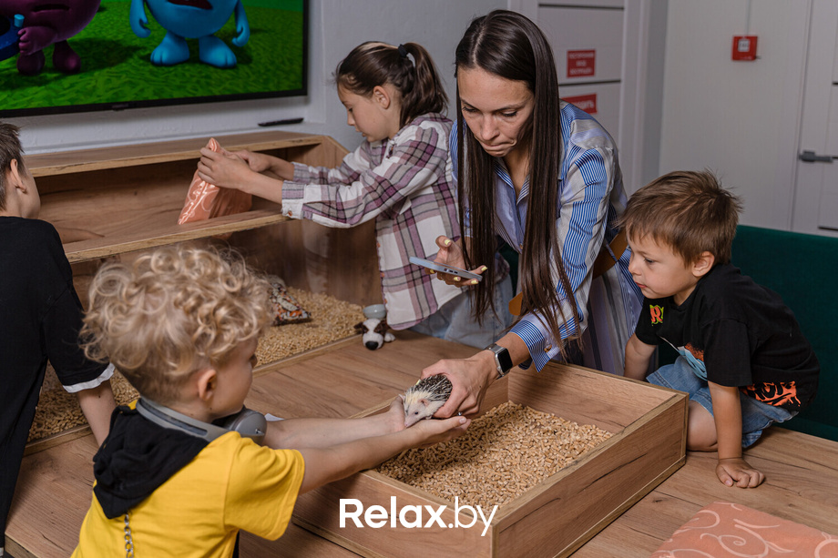 Открытие антикафе «Ёж кафе», фото № 9