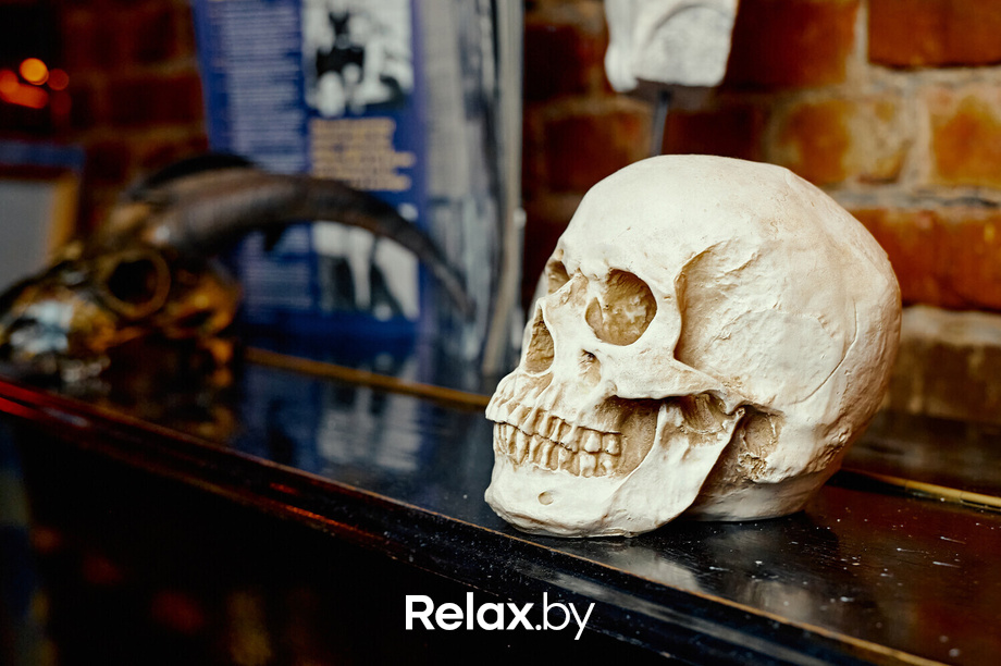 Live Music, фото № 6