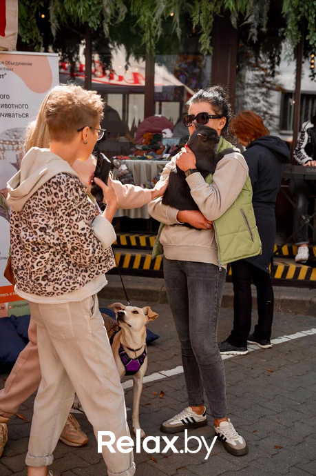 Акция пушистого добра, фото № 66