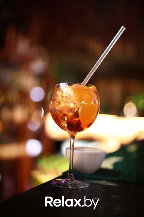 Terra party, фото № 15