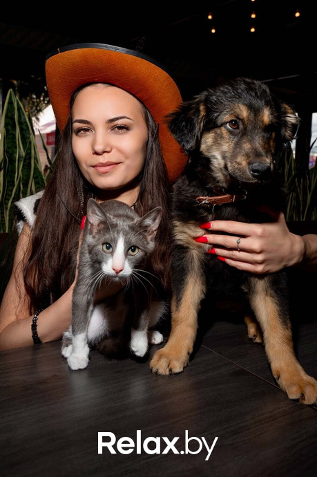 Акция пушистого добра, фото № 4