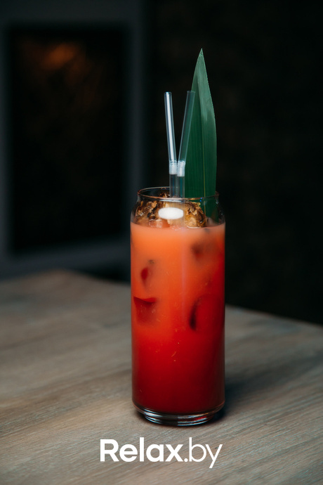 Terra Karaoke, фото № 13