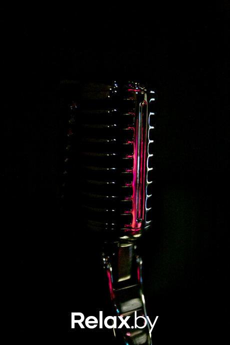 Ночь караоке, фото № 10