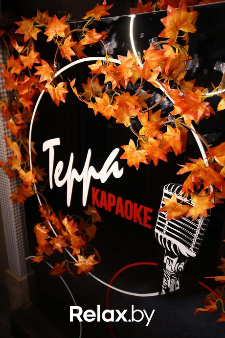 Терра Караоке, фото № 8