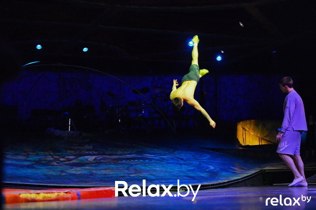 Cirque du Soleil – Alegria, фото № 2