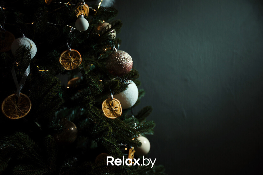 Новогодние вечера в Terra Club, фото № 81